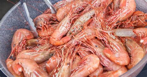 Spot Prawn Festival 2018 returns to Vancouver with new offerings | Georgia Straight Vancouver's ...