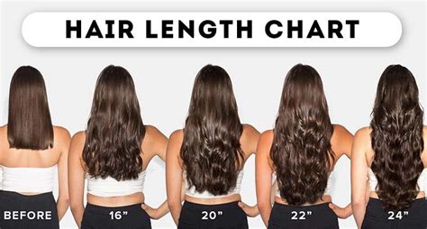 Hair Length Chart: What You Don't Know May Shock You - Lewigs