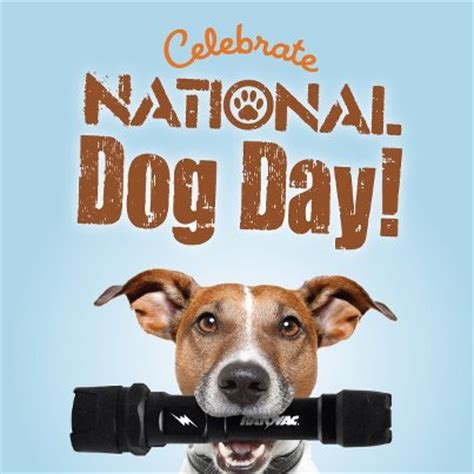 National Dog Day Memes #NationalDogDay