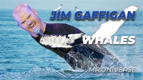 "Whales" - Jim Gaffigan Stand Up (Mr.Universe) | Jim gaffigan, Whale ...