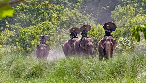 Guide to Nepal's Terai- Terai, Nepal - Nepal Travel Guide