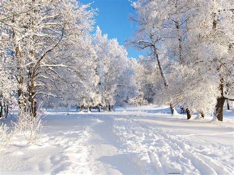 Free Desktop Backgrounds Winter - Wallpaper Cave