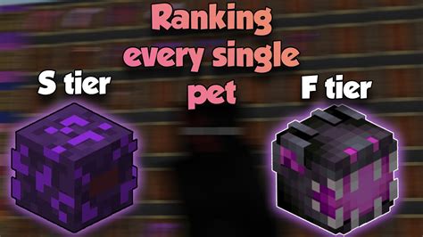 What is the BEST pet in Hypixel Skyblock? | Hypixel Skyblock pets tier ...