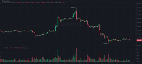 BNB Leads Recovery Efforts While Bitcoin Struggles Below $17K (Weekend ...