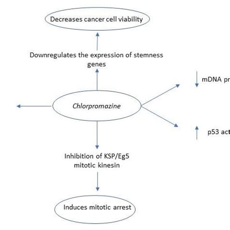 Summary of haloperidol's anti-tumor mechanism of action. Key: SHH ...