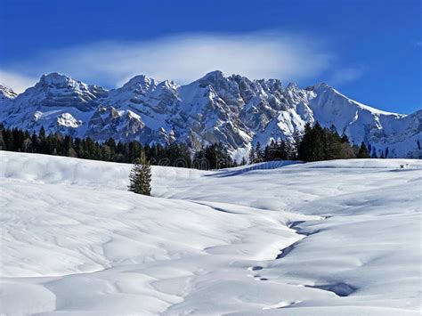 Winter Ambience and Beautiful Idyllic Atmosphere on the Snow-capped Alpine Mountain Alpstein in ...