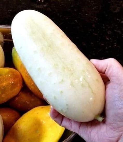 Organic White Cucumber Seeds White Wonder | Etsy