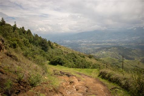 Nature in Ecuador stock photo. Image of ecuador, green - 174041702