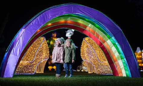 Wild Lights - Dublin Zoo