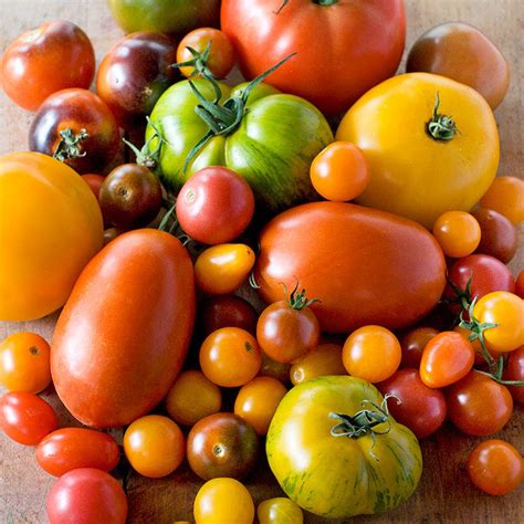 Tomato Varieties: What Type of Tomato Should I Grow?