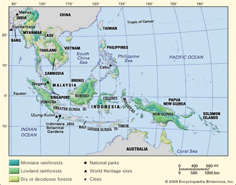 Southeast Asia - Rainforest, Mangroves, Flora | Britannica