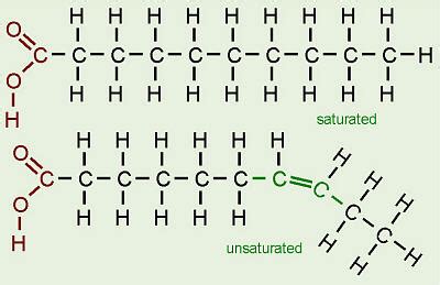 Hydrogenated Fats | DrDobbin Nutrition