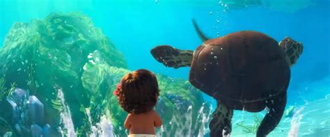 Moana Turtle by rosewitchcat on DeviantArt