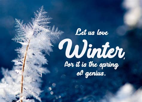 150+ Best Winter Instagram Captions and Quotes