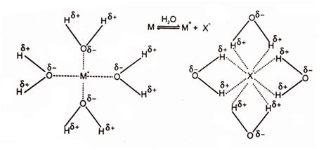 Ion-Dipole Intermolecular Forces | Chemistry Skills