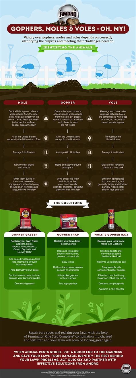 How to ID and Control Gophers Moles and Voles (Infographic)