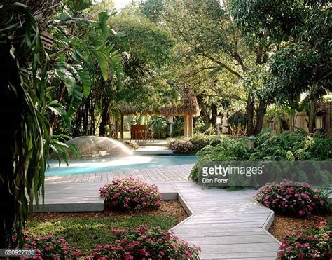 111 Florida Backyard Pool Stock Photos, High-Res Pictures, and Images - Getty Images