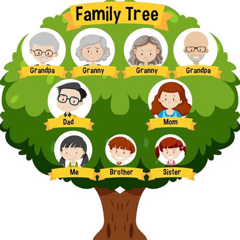 36,344 Characters Family Tree Royalty-Free Photos and Stock Images ...