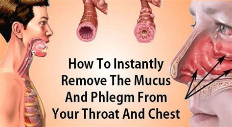 How to Eliminate Mucus and Phlegm from the Throat and Chest (Immediate Results) | 4inaa