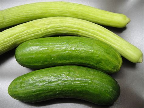 Two varieties of cucumber | Sangaaa's Blog