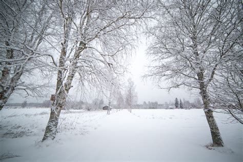 Snow Whisperer, Finland | Viva La Vita