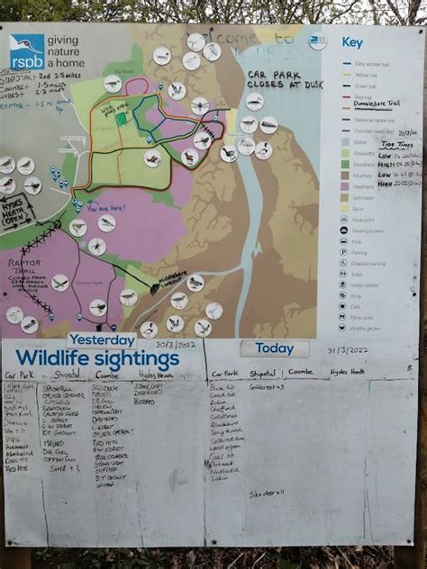 Dorset 3 - RSPB Arne: waders & the landscapes of the Purbeck Heaths ...