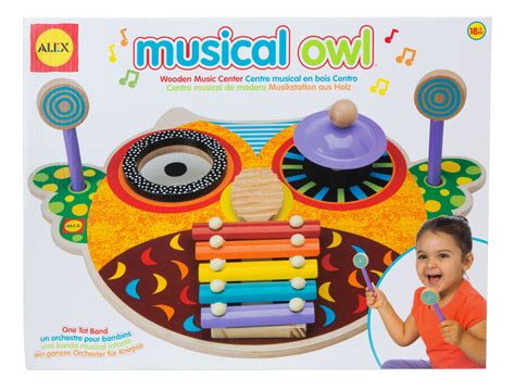 Musical Owl is 4 musical instruments in one. | Music toys, Musicals, Alex toys