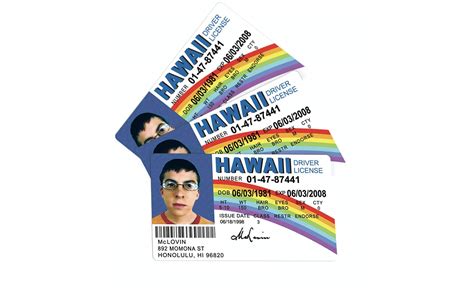 Buy Fun McLovin Joke License ID Card 3 Pack - Funny Gag Gift Prank - McLovin ID Cards for ...