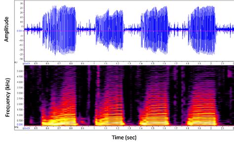 Spectrograms and Oscillograms: This is an oscillogram and spectrogram... | Download Scientific ...