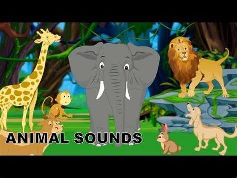 Sounds of Animals | Animal sound effects of real animals | Kindergarten ...
