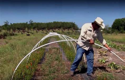 Small Poly Tunnel Greenhouse, a low tunnel greenhouse easy to adjust warm keeping or cool ...