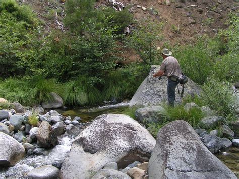 Siskiyou mountain wilderness | The Slingshot Community Forum