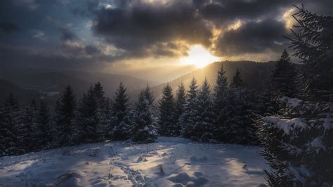 Carpathian Mountains With Trees Covered With Snow And Sunlight With Cloudy Sky During Winter HD ...