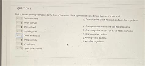 [Solved] QUESTION 5 Match the cell envelope structure to the type of... | Course Hero