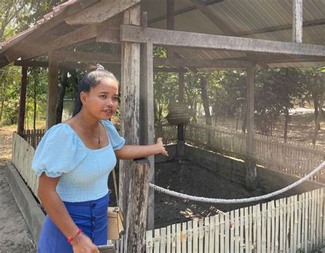 Phnom Penh: History Inside the Genocide Museums (1975-1979) | GetYourGuide