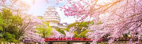 Cherry Blossom Tours | Japan | Wendy Wu Tours