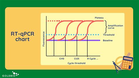 How To Interpret RT-qPCR Results | GoldBio