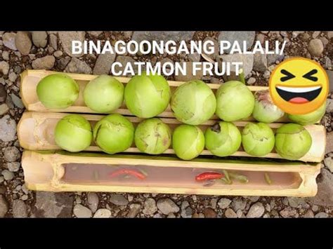 BUHAY PROBINSYA - CATMON FRUIT/PALALI WITH BAGOONG 😉😆🤗 - YouTube