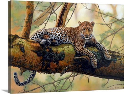 African Leopard | Great Big Canvas