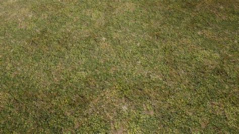 Grass textures, Natural grass, Nature photos