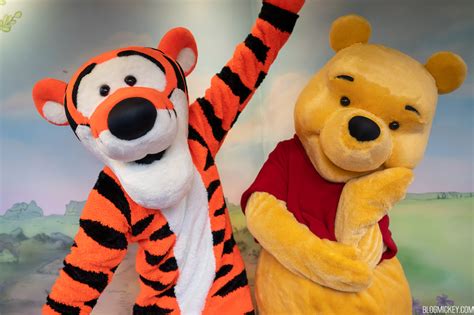 Winnie the Pooh & Friends Meet and Greet Returns to Magic Kingdom