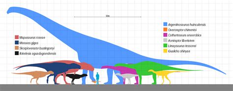 Bruhathkayosaurus Vs Argentinosaurus