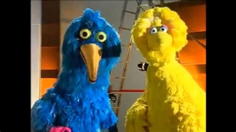 Big Bird meets Garibaldo - 40 Years TV Cultura - YouTube