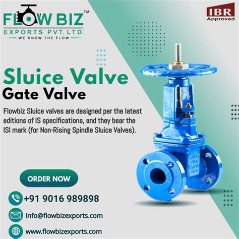 Sluice Valve at 8000.00 INR in Mumbai, Maharashtra | Flowbiz Exports Private Limited