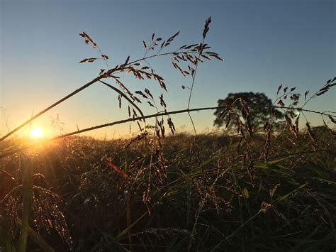 Sunrise on White Rock Hill | Places to visit, Sunrise, Great places