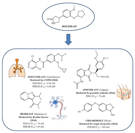 An Overview of PDE4 Inhibitors in Clinical Trials | Encyclopedia MDPI