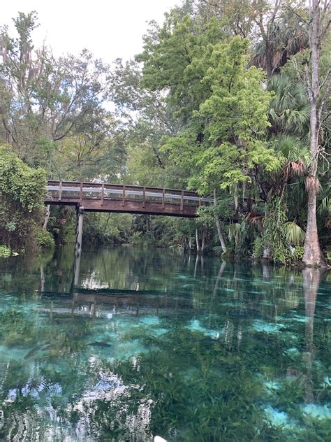 Beauty And Peace Of Silver Springs State Park - Ocala-News.com