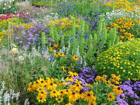 8 Ways to Encourage Biodiversity in Your Yard