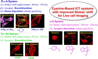 Large Stokes shift benzothiazolium cyanine dyes with improved intramolecular charge transfer ...