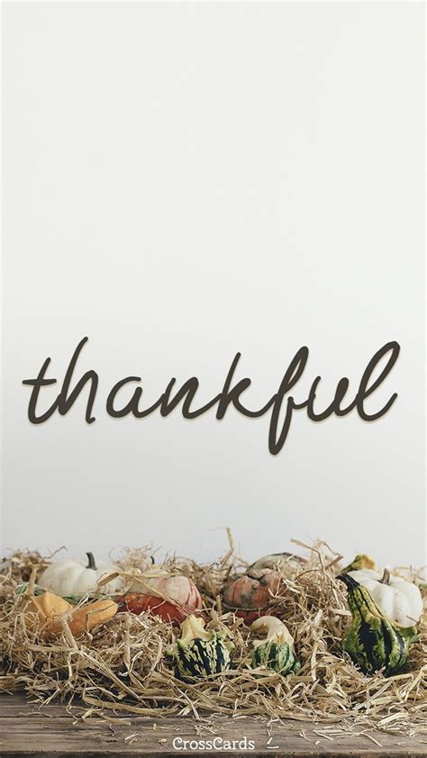 Thankful Wallpapers - Top Free Thankful Backgrounds - WallpaperAccess